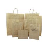 Brown or White Twisted Handle Paper Bag