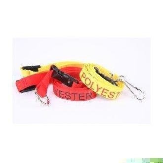 Lanyard - Polyester PMS Matched