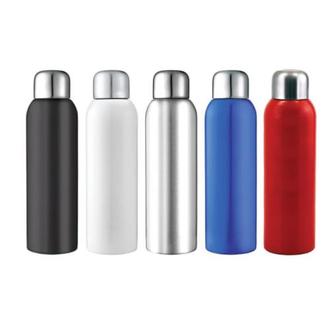 Guzzle Stainless Sports Bottle