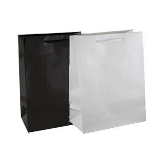 White Gloss Laminated Bags Small