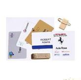 Deluxe Plastic Name Tag