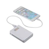 Mega Vault Power Bank