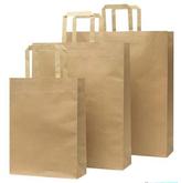 Medium Paper Bag