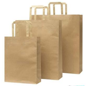 Medium Paper Bag