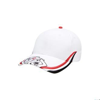 Ace HBC Cap