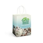 Large Paper Carry Bag - Full Colour