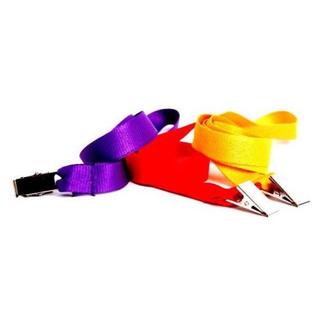 20mm Budget Polyester Lanyard with Double Alligator/Hook/Carabineer