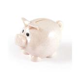 World's Smallest Pig Eco Coin Bank