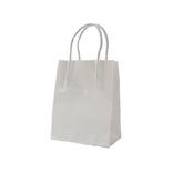 Runt Standard White Kraft Paper Bag