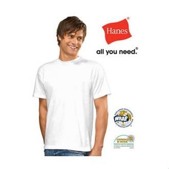 Hanes Men's Classic T