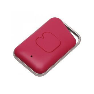 Princeton Smart Tag