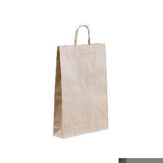 Medium Twisted Paper Handle Paper Bag