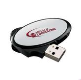 Swing Flash Drive 20 Day Service