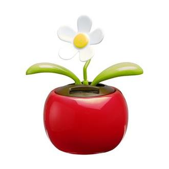 Solar flower